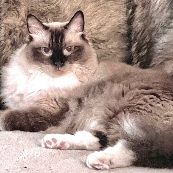 A bit of this n that - Picture 4 of 12